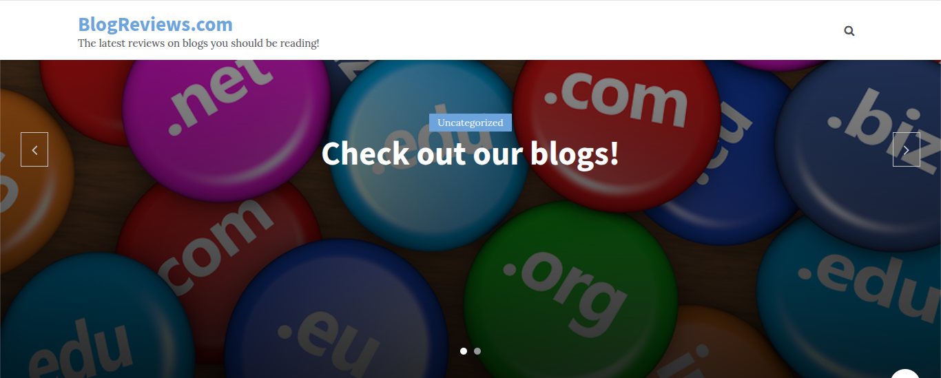Read more about the article Blog reviews.com